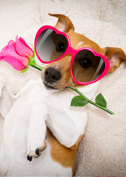 Gepersonaliseerd brievenbuspakketje Valentijn liefde hond - Keekz