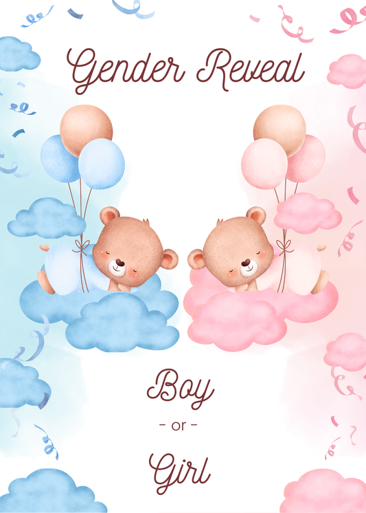 Gepersonaliseerd brievenbuspakketje gender reveal meisje jongen baby - Keekz